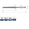 Rotec 356.1200 HSS-G Perno trapezoidale TR12 x 3 - 1